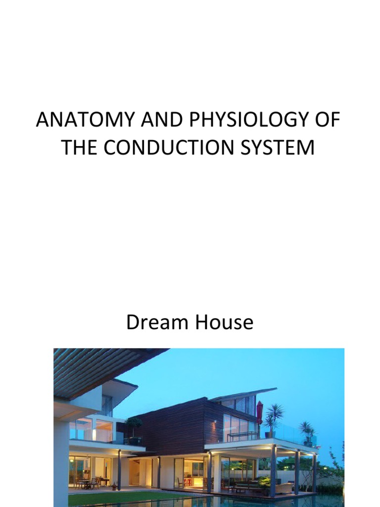 Heart Conduction System Overview | PDF | Nature | Heart