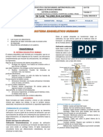 Sistema-oseo.pdf