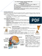 CICLO 4 GUIA 11 BIOLOGIA.pdf