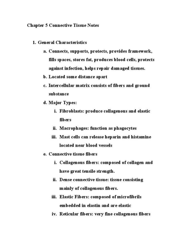 Chapter 5 Connective Tissue Notes | PDF | Connective Tissue | Tissue ...