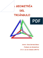 Tema_Geometria del Triangulo.pdf