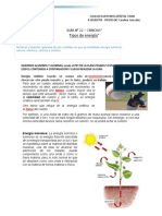 CIENCIAS-guía N°22-Tipos de Energía