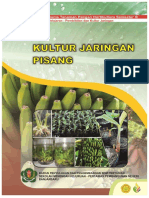 Dikt Kuljar Pisang Bener PDF