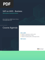 AWS STP SAP Business v2 - AM ForSend