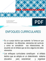 Enfoques Curriculares PDF