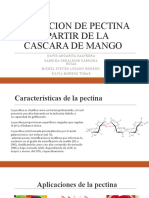 Extracción de pectina a partir de la cáscara de mango usando fluidos subcríticos