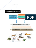 Soluciòn Guia Ecosistemas 2 Axel