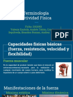 Terminología PDF