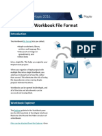 The Workbook File Format
