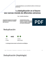 Reduplicación y Deduplicación en El Baure2020