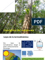 Energética Del Ecosistema