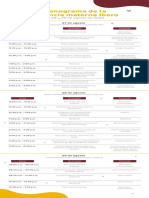 Cronograma Maternidad PDF