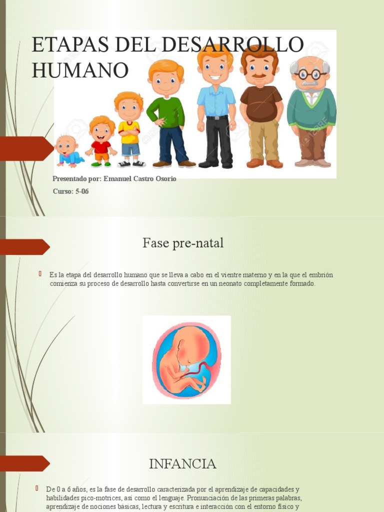 Etapas del Desarrollo Humano | PDF | Vejez | Adultos