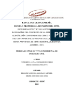 PATOLOGIAS_DEL_CONCRETO_CAMARENA_LUNA_RICHARD_EDUARDO.pdf