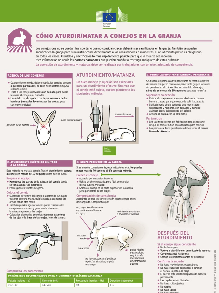 Aw Prac Slaughter Factsheet-2018 Farm Rabbits Es | PDF | Naturaleza
