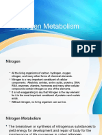 Nitrogen Metabolismmmm
