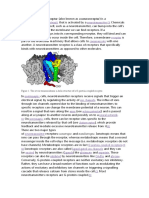 neurotransmisor