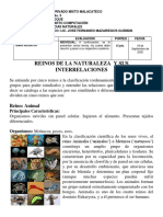 ACTIVIDAD 5 CIENCIAS NAT. 4TO. COMPUTACIONa PDF