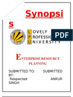 Synopsis Erp