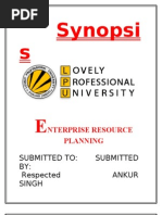 Synopsis Erp