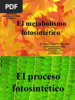 Clase 1 Completa Fotosíntesis