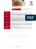 Ejemplo Plan Auditoria PDF