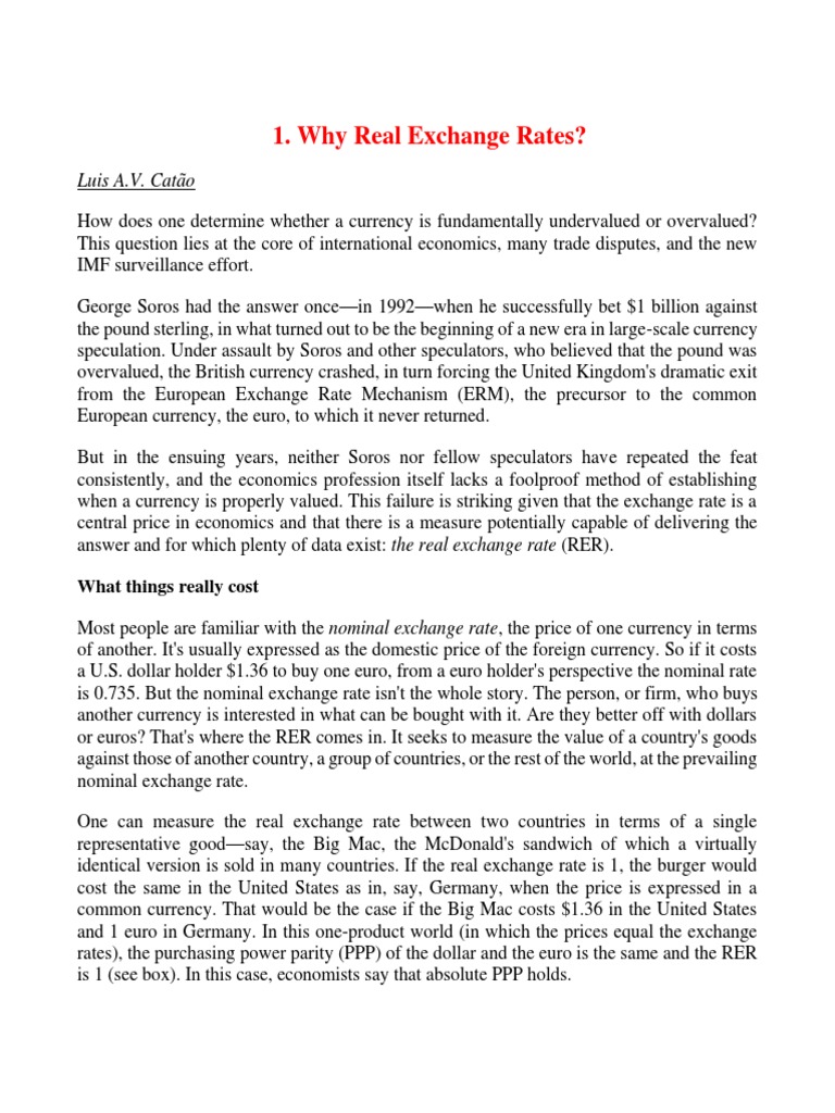 Understanding Real Exchange Rates | PDF | Purchasing Power Parity ...
