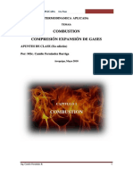 Edoc - Pub - Combustion Ucsm 2010 CFB PDF