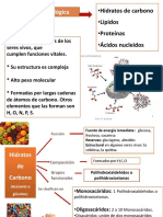 Hidratos de Carbono Diapositivas 1 PDF