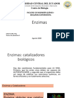 Bioquimica Taller 7 Enzimas