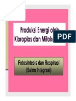 SEL-Produksi Energi PDF