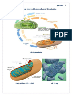 Life Sustaining Processes Chapter 3.2 - Cell Organelle & their functions- Mitochondria & Respiration