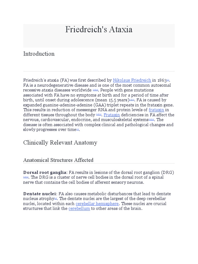 Friedreich S Ataxia Anatomical Structures Affected Pdf Cerebellum
