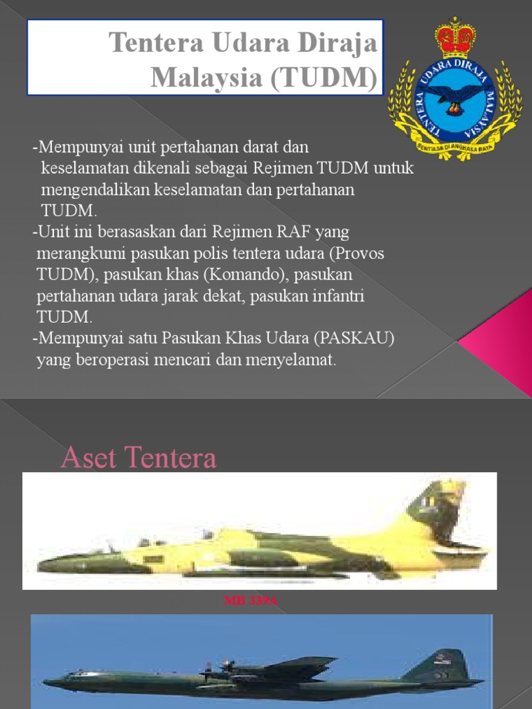 Unit Unit Terbaik Tentera Darat Laut Dan Udara Singapura Berita Setempat Beritaharian Sg