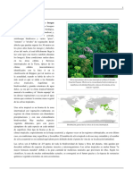selva1.pdf