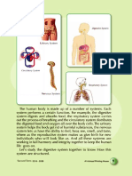 Digestive System