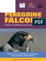 peregrine_nest-box_advice.pdf