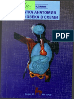 Shemi Anatomia PDF