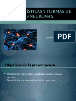 neurona (1).pptx