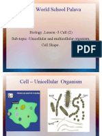 Lodha World School Palava: Biology, Lesson - 3 Cell (2) Sub-Topic - Unicellular and Multicellular Organism, Cell Shape