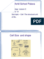 Lodha World School Palava: Biology - Lesson-3 Std-Vi Sub Topic - Cell - The Structural Unit of Life