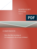 Respiratory System Notes P 1