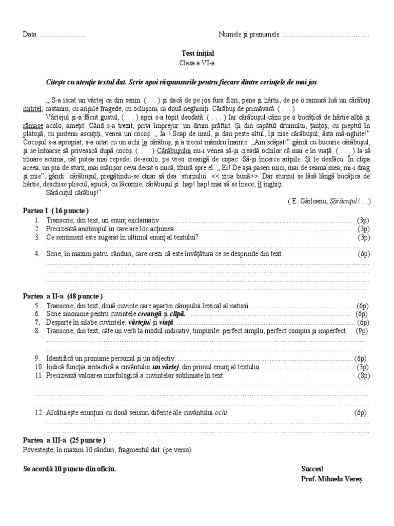 Test Initial VI Noua Programa | PDF