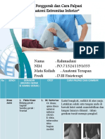 Rahmadani (Po713241191035) - Knee & Ankle Joint