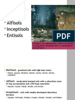 Soil Suborders: Mollisols Alfisols Inceptisols Entisols