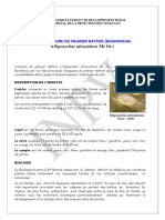 AcarienJauneDuPalmierDattier PDF