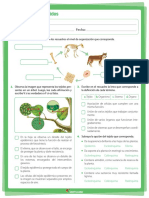 Celulas y Tejidos PDF