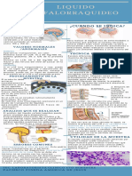 LCR Infografia 