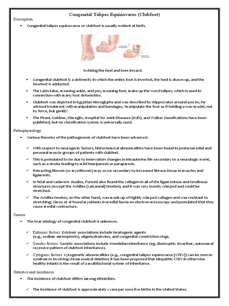 Congenital Talipes Equinovarus PDF Foot Tendon