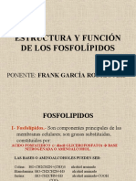 Estructura Y Función de Los Fosfolípidos: Ponente: Frank García Rodríguez